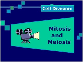Mitosis
and
Meiosis
Cell Division:
 