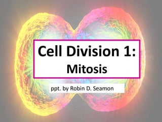Cell Division 1:
Mitosis
ppt. by Robin D. Seamon
1
 