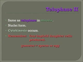 Same as  telophase  in  mitosis . Nuclei form. Cytokinesis  occurs. Remember: four haploid daughter cells  produced. gametes = sperm or egg 