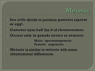 Sex cells  divide to produce  gametes   (sperm or egg) . Gametes  have  half  the # of  chromosomes . Occurs only in gonads (testes or ovaries). Male:  spermatogenesis Female:  oogenesis Meiosis  is similar to  mitosis  with some chromosomal differences. 