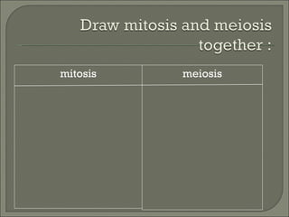 mitosis meiosis 