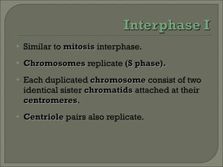 Similar to  mitosis  interphase. Chromosomes  replicate  (S phase). Each duplicated  chromosome  consist of two identical sister  chromatids  attached at their  centromeres . Centriole  pairs also replicate. 