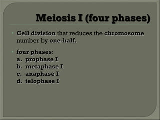 Cell division  that reduces the  chromosome  number by  one-half. four phases : a. prophase I b. metaphase I c. anaphase I d. telophase I 