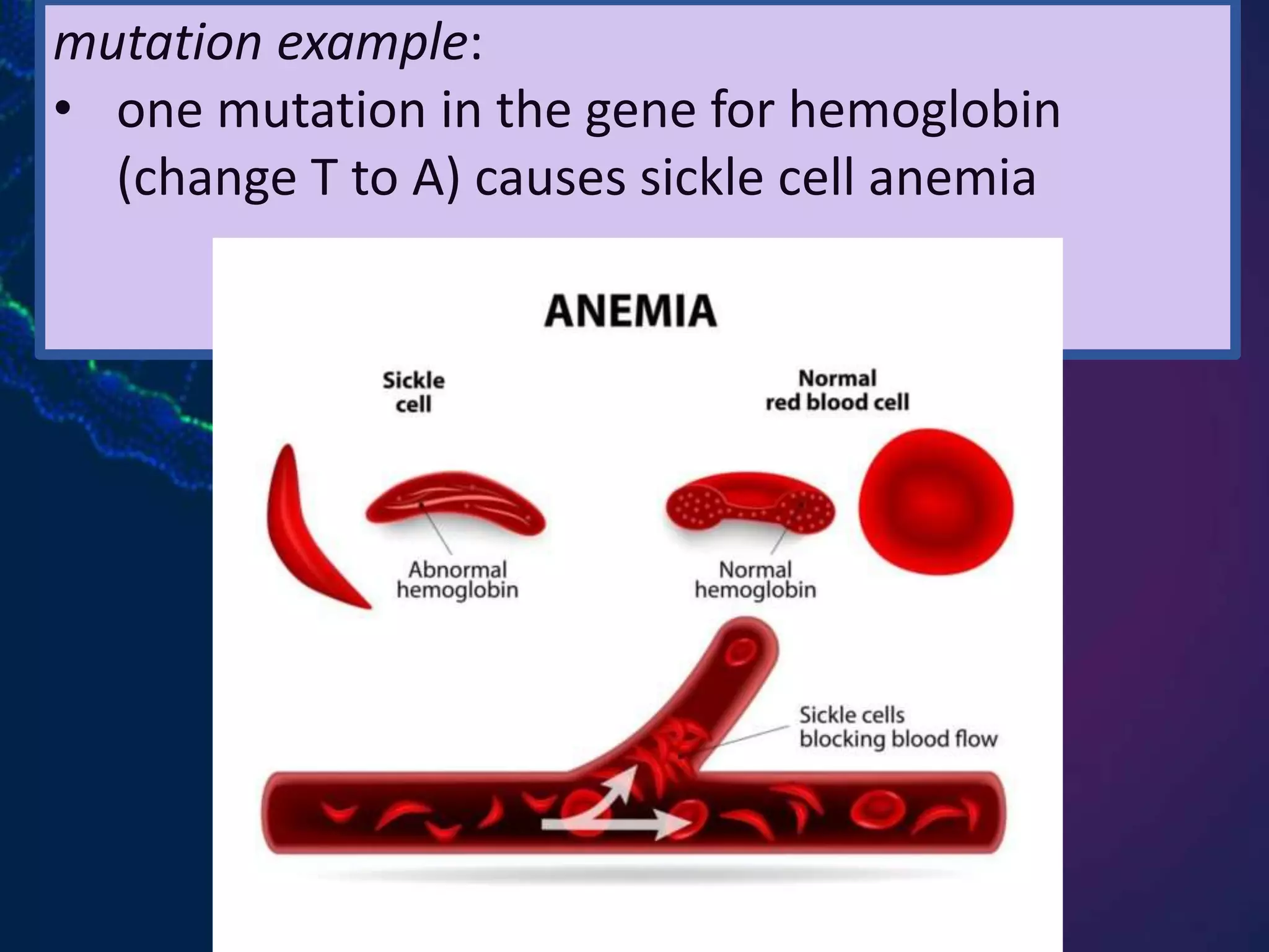 Cell division 2 DNA Replication | PPTX