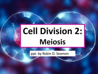 Cell Division 2:
Meiosis
ppt. by Robin D. Seamon
1
 