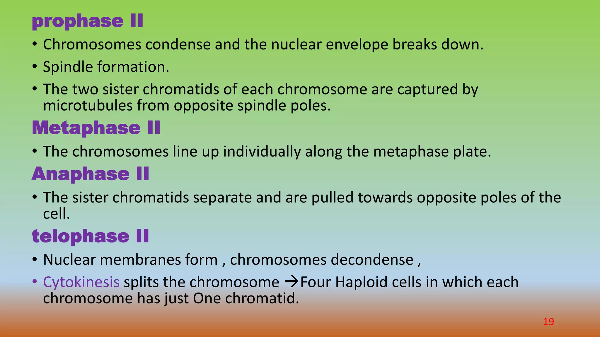 Cell division and gametogenesis | PPTX