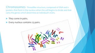 Chromosomes- Threadlike structure, composed of DNA and a
protein, that form in the nucleus when the cell begins to divide and that
carry the genes which determine an individual's traits.
 They come in pairs.
 Every nucleus contains 23 pairs.
 