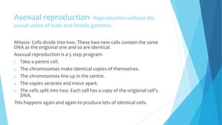 Asexual reproduction- Reproduction without the
sexual union of male and female gametes.
Mitosis- Cells divide into two. These two new calls contain the same
DNA as the origional one and so are identical.
Asexual reproduction is a 5 step program-
1. Take a parent cell.
2. The chromosomes make identical copies of themselves.
3. The chromosomes line up in the centre.
4. The copies serarate and move apart.
5. The cells split into two. Each cell has a copy of the origional cell's
DNA.
This happens again and again to produce lots of identical cells.
 