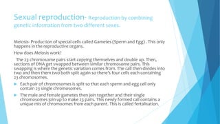 Sexual reproduction- Reproduction by combining
genetic information from two different sexes.
Meiosis- Production of special cells called Gametes (Sperm and Egg) . This only
happens in the reproductive organs.
How does Meiosis work?
The 23 chromosome pairs start copying themselves and double up. Then,
sections of DNA get swapped between similar chromosome pairs. This
swapping is where the genetic variation comes from. The call then divides into
two and then them two both split again so there's four cells each containing
23 chromosomes.
 Each pair of chromosomes is split so that each sperm and egg cell only
contain 23 single chromosomes.
 The male and female gametes then join together and their single
chromosomes join up to make 23 pairs. This newly formed call contains a
unique mis of chromoomes from each parent. This is called fertalisation.
 
