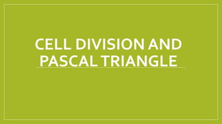 CELL DIVISION AND 
PASCAL TRIANGLE 
 