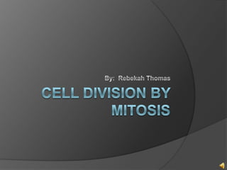 Cell Division by Mitosis By:  Rebekah Thomas 