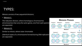 11/20/2024
12
TYPES:
Meiosis consists of two sequential divisions:
• Meiosis I:
The reduction division, where homologous chromosomes
(chromosomes that carry the same genes, one from each parent)
are separated.
• Meiosis II:
Similar to mitosis, where sister chromatids
(identical copies of a chromosome formed during DNA replication)
are separated.
 
