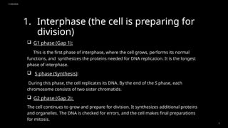 11/20/2024
3
1. Interphase (the cell is preparing for
division)
 G1 phase (Gap 1):
This is the first phase of interphase, where the cell grows, performs its normal
functions, and synthesizes the proteins needed for DNA replication. It is the longest
phase of interphase.
 S phase (Synthesis):
During this phase, the cell replicates its DNA. By the end of the S phase, each
chromosome consists of two sister chromatids.
 G2 phase (Gap 2):
The cell continues to grow and prepare for division. It synthesizes additional proteins
and organelles. The DNA is checked for errors, and the cell makes final preparations
for mitosis.
 
