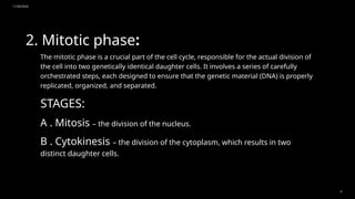 11/20/2024
4
2. Mitotic phase:
The mitotic phase is a crucial part of the cell cycle, responsible for the actual division of
the cell into two genetically identical daughter cells. It involves a series of carefully
orchestrated steps, each designed to ensure that the genetic material (DNA) is properly
replicated, organized, and separated.
STAGES:
A . Mitosis – the division of the nucleus.
B . Cytokinesis – the division of the cytoplasm, which results in two
distinct daughter cells.
 