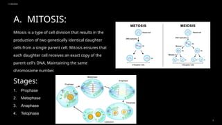 11/20/2024
5
A. MITOSIS:
Mitosis is a type of cell division that results in the
production of two genetically identical daughter
cells from a single parent cell. Mitosis ensures that
each daughter cell receives an exact copy of the
parent cell's DNA, Maintaining the same
chromosome number.
Stages:
1. Prophase
2. Metaphase
3. Anaphase
4. Telophase
 
