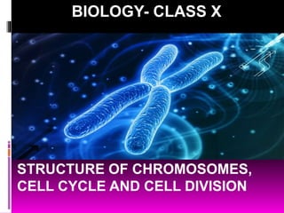 BIOLOGY- CLASS X
STRUCTURE OF CHROMOSOMES,
CELL CYCLE AND CELL DIVISION
 