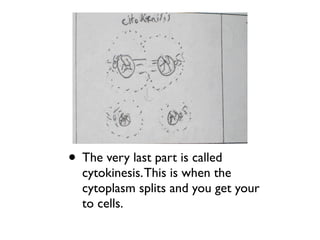 • The very last part is called
  cytokinesis. This is when the
  cytoplasm splits and you get your
  to cells.
 