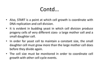 Cell division cycle in yeast | PPTX