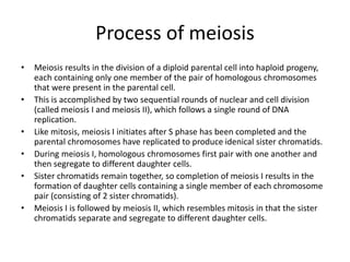 Cell cycle checkpoints in yeast | PPTX