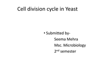 Cell division cycle in Yeast
• Submitted by-
Seema Mehra
Msc. Microbiology
2nd semester
 