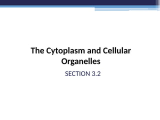 The Cytoplasm and Cellular
Organelles
SECTION 3.2
 