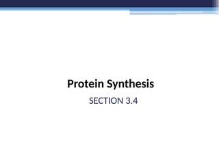 Protein Synthesis
SECTION 3.4
 