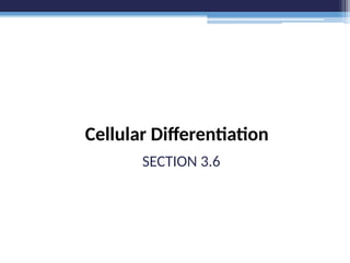 Cellular Differentiation
SECTION 3.6
 