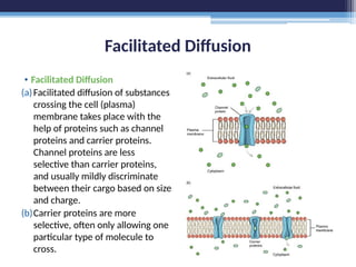 Facilitated Diffusion
• Facilitated Diffusion
(a)Facilitated diffusion of substances
crossing the cell (plasma)
membrane takes place with the
help of proteins such as channel
proteins and carrier proteins.
Channel proteins are less
selective than carrier proteins,
and usually mildly discriminate
between their cargo based on size
and charge.
(b)Carrier proteins are more
selective, often only allowing one
particular type of molecule to
cross.
 