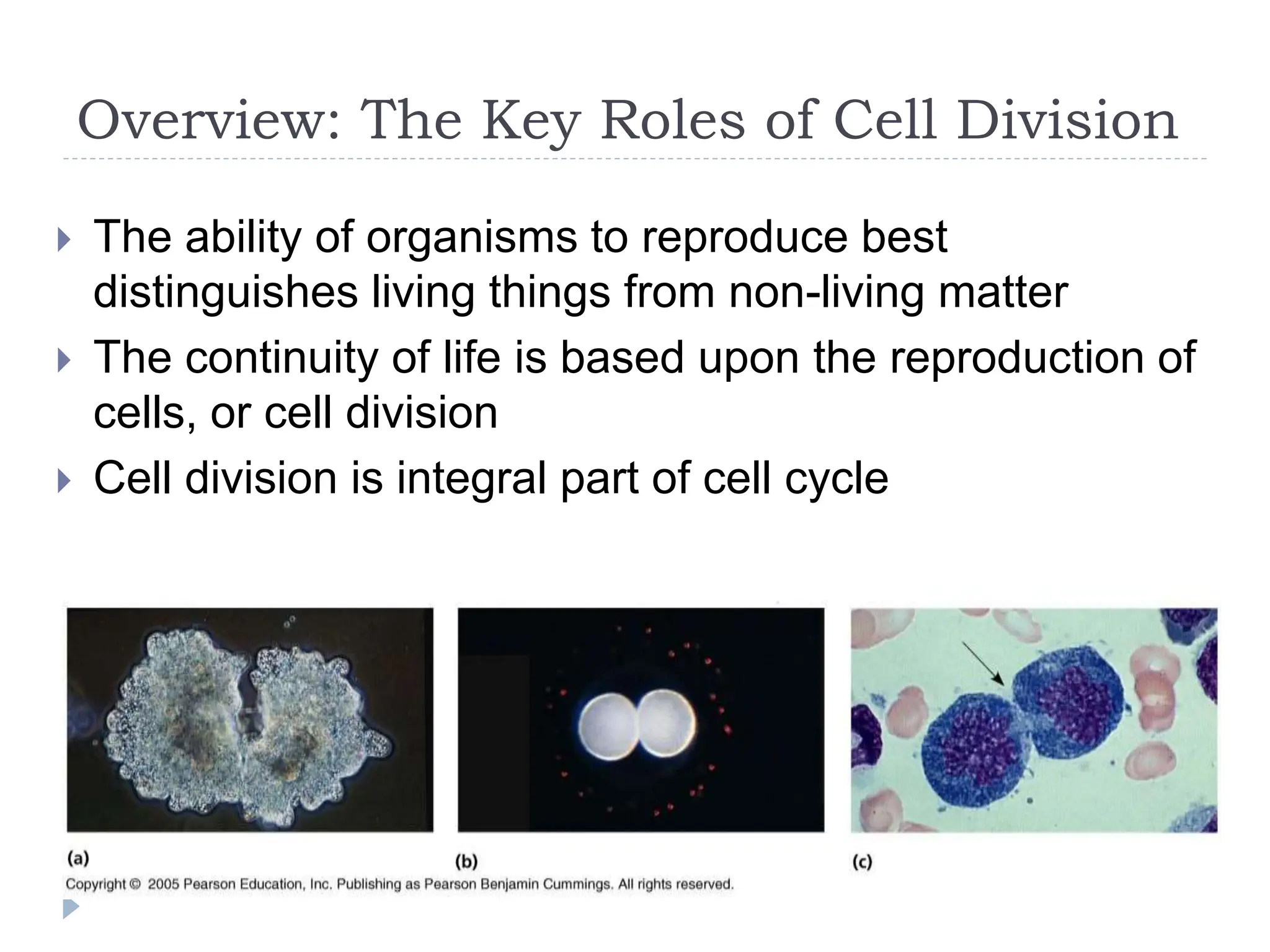 Cell division in eukaryotic and prokaryotics I.pptx