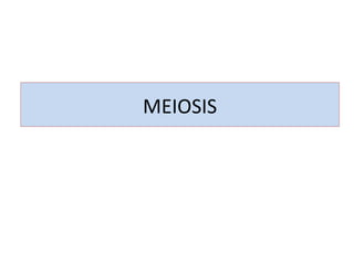 MEIOSIS
 