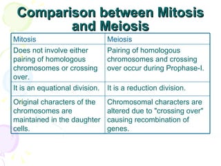Comparison between Mitosis and Meiosis Meiosis Mitosis Chromosomal characters are altered due to "crossing over" causing recombination of genes.  Original characters of the chromosomes are maintained in the daughter cells.  It is a reduction division.  It is an equational division.  Pairing of homologous chromosomes and crossing over occur during Prophase-I.  Does not involve either pairing of homologous chromosomes or crossing over.  