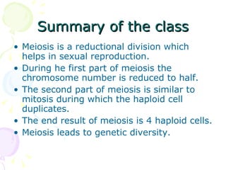 Summary of the class Meiosis is a reductional division which helps in sexual reproduction. During he first part of meiosis the chromosome number is reduced to half. The second part of meiosis is similar to mitosis during which the haploid cell duplicates. The end result of meiosis is 4 haploid cells. Meiosis leads to genetic diversity. 