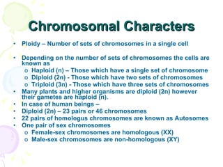 Chromosomal Characters Ploidy – Number of sets of chromosomes in a single cell Depending on the number of sets of chromosomes the cells are known as  Haploid (n) – Those which have a single set of chromosome Diploid (2n) - Those which have two sets of chromosomes Triploid (3n) - Those which have three sets of chromosomes  Many plants and higher organisms are diploid (2n) however their gametes are haploid (n). In case of human beings – Diploid (2n) – 23 pairs or 46 chromosomes 22 pairs of homologus chromosomes are known as Autosomes One pair of sex chromosomes Female-sex chromosomes are homologous (XX)  Male-sex chromosomes are non-homologous (XY) 