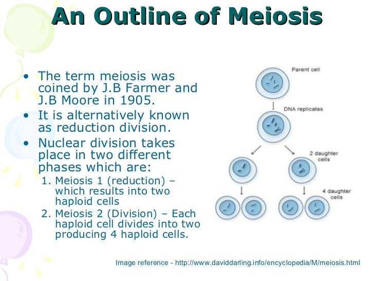 Cell Division U2013 Meiosis