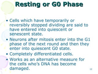 Resting or G0 Phase Cells which have temporarily or reversibly stopped dividing are said to have entered into quiescent or senescent state.  Neurons after mitosis enter into the G1 phase of the next round and then they enter into quiescent G0 state. Completely differentiated cells. Works as an alternative measure for the cells who’s DNA has become damaged. 