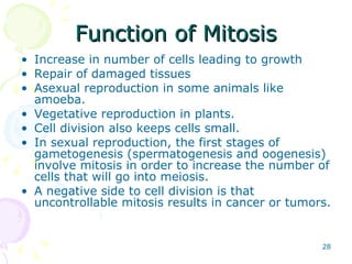 Function of Mitosis Increase in number of cells leading to growth  Repair of damaged tissues Asexual reproduction in some animals like amoeba. Vegetative reproduction in plants. Cell division also keeps cells small. In sexual reproduction, the first stages of gametogenesis (spermatogenesis and oogenesis) involve mitosis in order to increase the number of cells that will go into meiosis. A negative side to cell division is that uncontrollable mitosis results in cancer or tumors. 