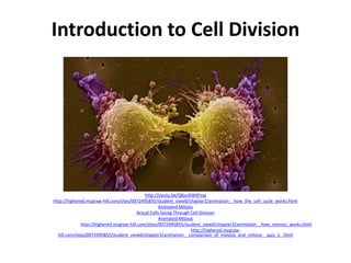 Introduction to Cell Division
http://youtu.be/Q6ucKWIIFmg
http://highered.mcgraw-hill.com/sites/0072495855/student_view0/chapter2/animation__how_the_cell_cycle_works.html
Animated Mitosis
Actual Cells Going Through Cell Division
Animated Mitosis
How Meiosis Works: http://highered.mcgraw-hill.com/sites/0072495855/student_view0/chapter3/animation__how_meiosis_works.html
Mitosis/Meiosis Comparison Animation: http://highered.mcgraw-
hill.com/sites/0072495855/student_view0/chapter3/animation__comparison_of_meiosis_and_mitosis__quiz_1_.html
 