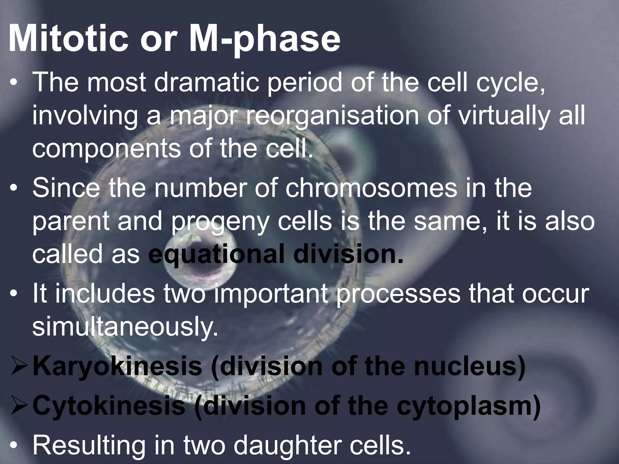 Mitotic or M-phase
• The most dramatic period of the cell cycle,
involving a major reorganisation of virtually all
components of the cell.
• Since the number of chromosomes in the
parent and progeny cells is the same, it is also
called as equational division.
• It includes two important processes that occur
simultaneously.
Karyokinesis (division of the nucleus)
Cytokinesis (division of the cytoplasm)
• Resulting in two daughter cells.
 