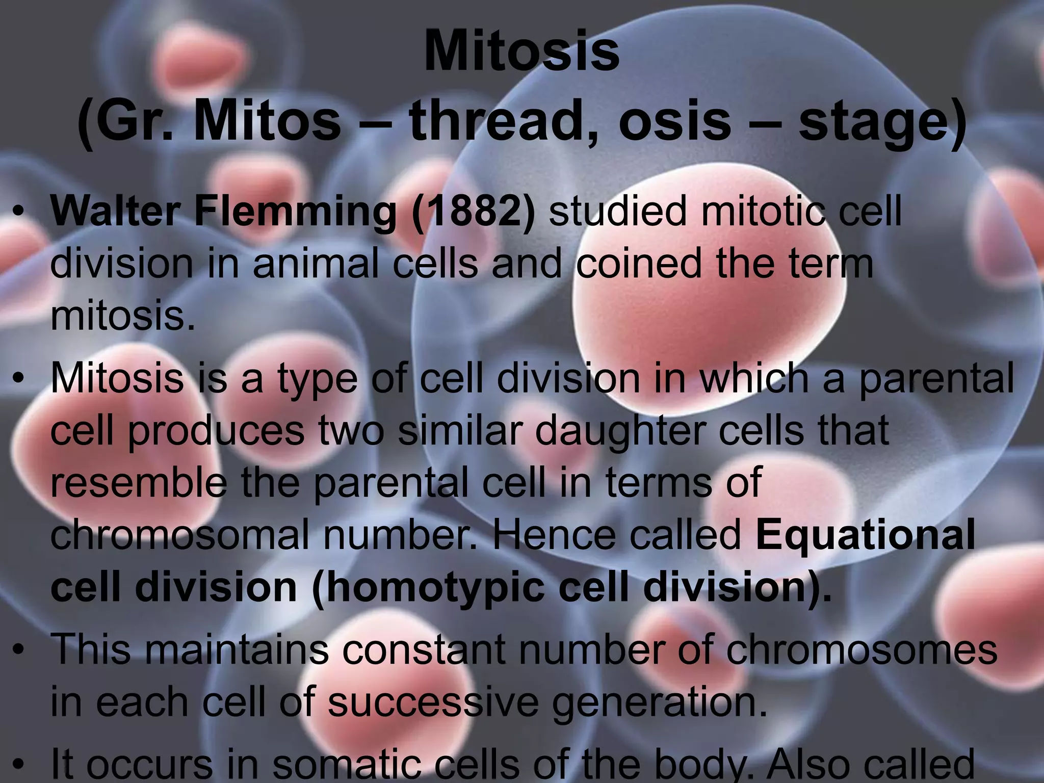 Mitosis
(Gr. Mitos – thread, osis – stage)
• Walter Flemming (1882) studied mitotic cell
division in animal cells and coined the term
mitosis.
• Mitosis is a type of cell division in which a parental
cell produces two similar daughter cells that
resemble the parental cell in terms of
chromosomal number. Hence called Equational
cell division (homotypic cell division).
• This maintains constant number of chromosomes
in each cell of successive generation.
• It occurs in somatic cells of the body. Also called
 