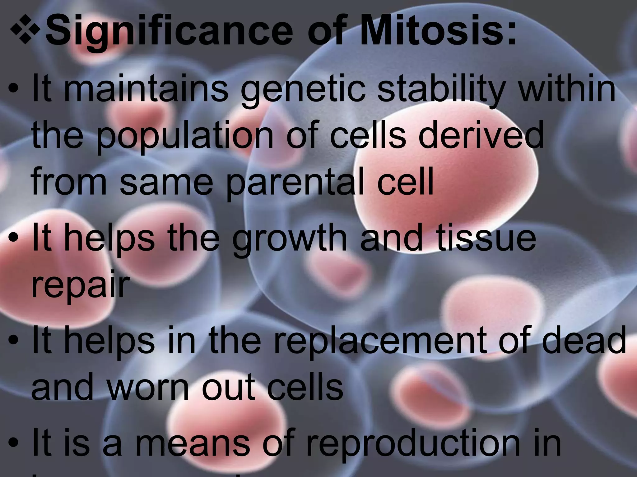 Significance of Mitosis:
• It maintains genetic stability within
the population of cells derived
from same parental cell
• It helps the growth and tissue
repair
• It helps in the replacement of dead
and worn out cells
• It is a means of reproduction in
 