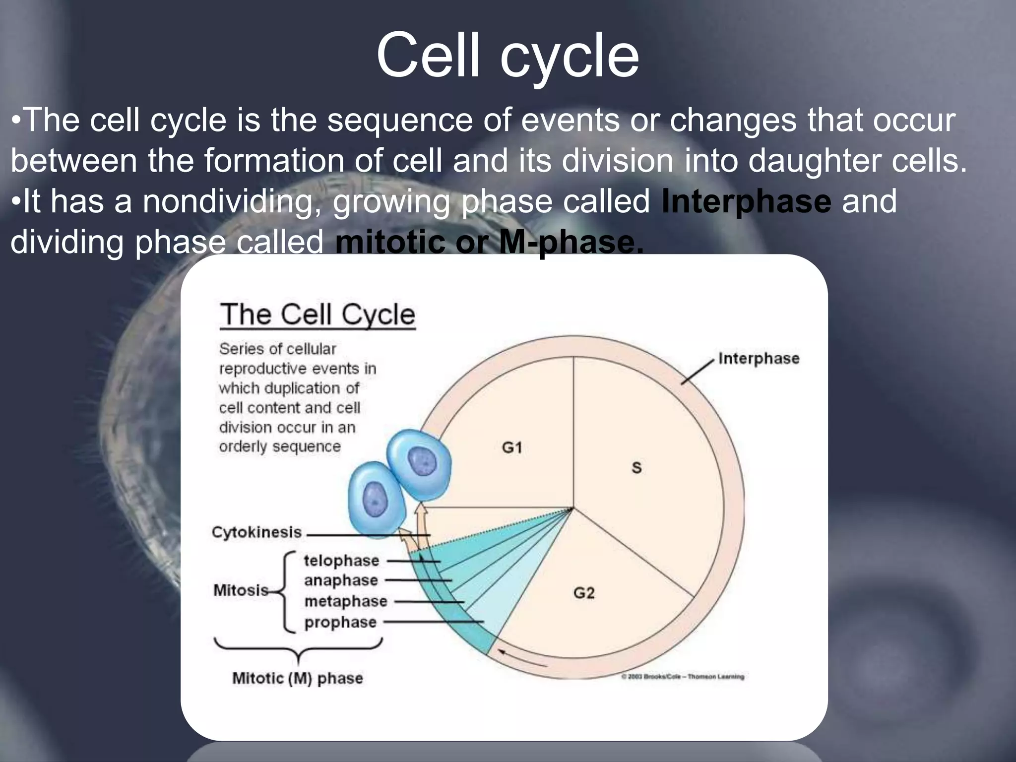 Cell cycle
•The cell cycle is the sequence of events or changes that occur
between the formation of cell and its division into daughter cells.
•It has a nondividing, growing phase called Interphase and
dividing phase called mitotic or M-phase.
 