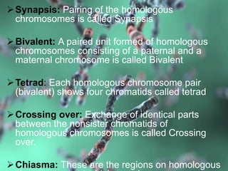 Cell division, a new way. | PPTX