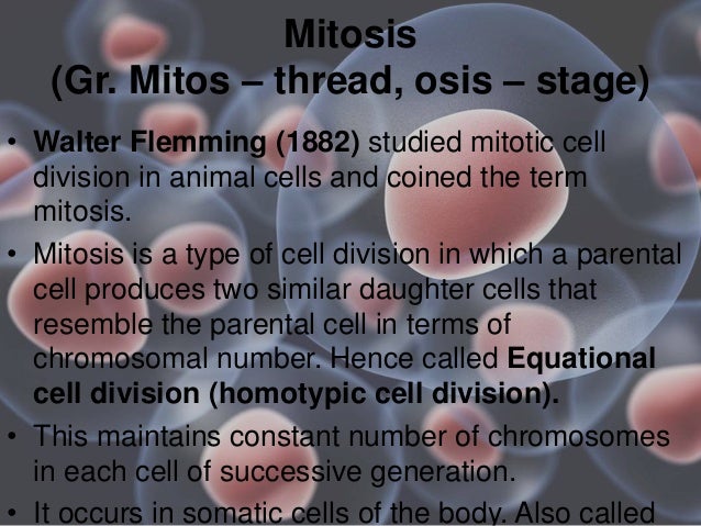 What is involved in cell division of animal cells?