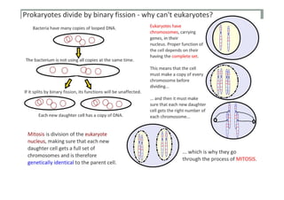 Cell division p [compatibility mode]