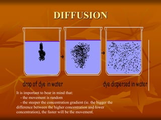 DIFFUSION
It is important to bear in mind that:
- the movement is random
- the steeper the concentration gradient (ie. the bigger the
difference between the higher concentration and lower
concentration), the faster will be the movement.
 