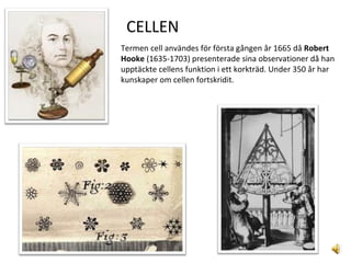 Termen cell användes för första gången år 1665 då  Robert Hooke  (1635-1703) presenterade sina observationer då han upptäckte cellens funktion i ett korkträd. Under 350 år har kunskaper om cellen fortskridit.  CELLEN 