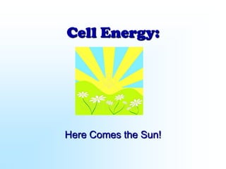 Cell Energy:




Here Comes the Sun!
 