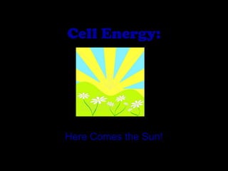 Cell Energy:

Here Comes the Sun!

 