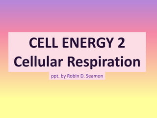 CELL ENERGY 2
Cellular Respiration
ppt. by Robin D. Seamon
 
