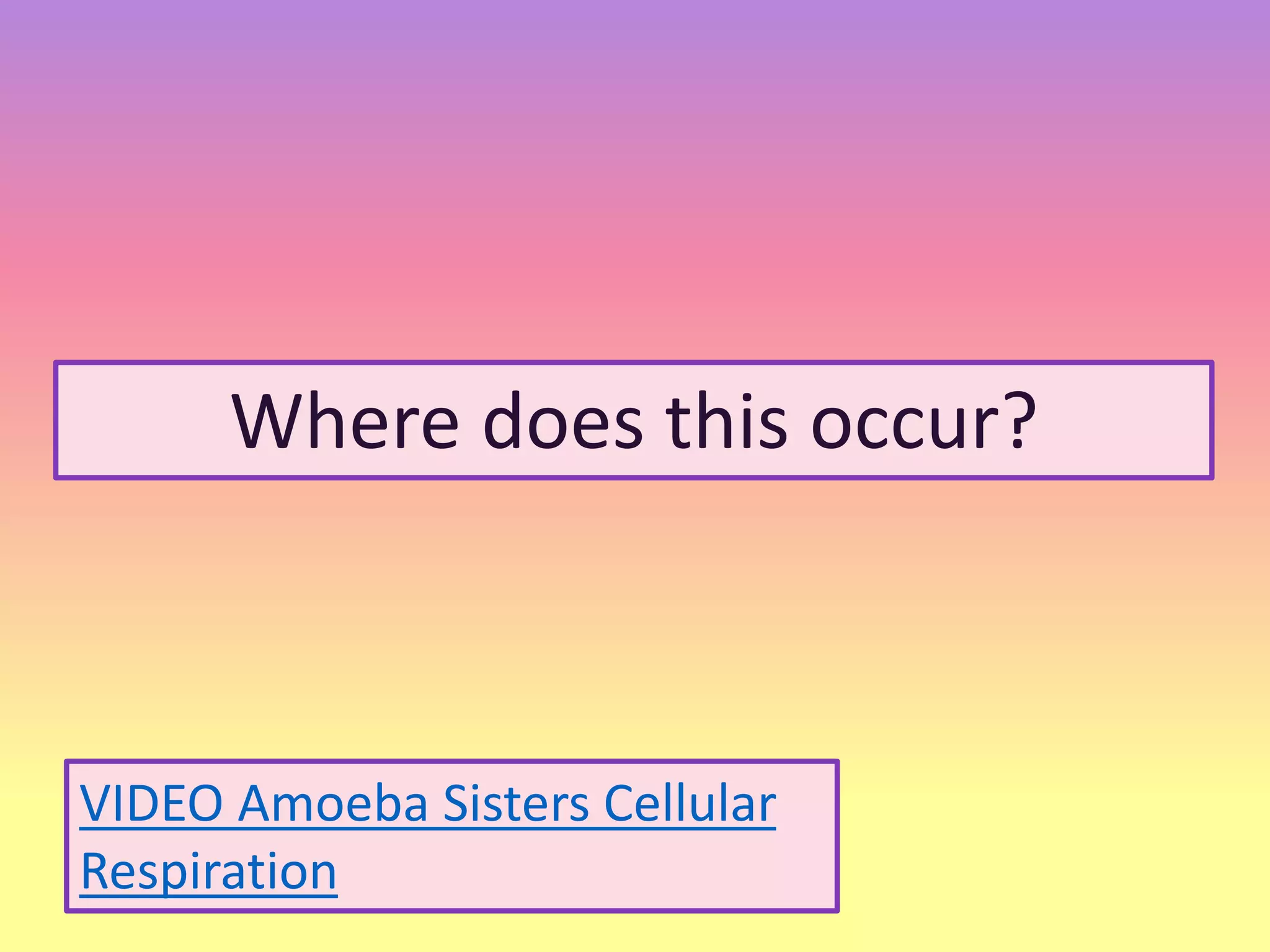 Where does this occur?
VIDEO Amoeba Sisters Cellular
Respiration
 